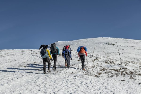 Résolvez le casse-tête des codes promo voyage